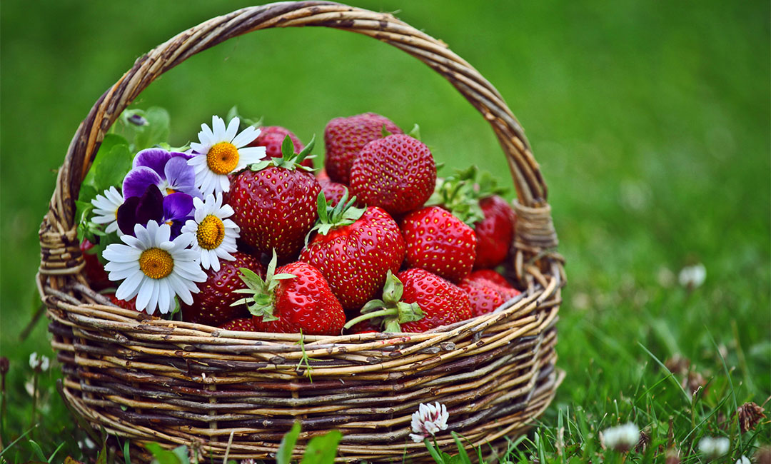 贺州点呀点水果电商APP开发案例